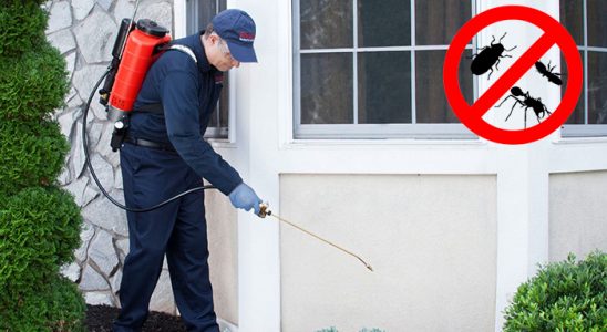 Mudanya Kemirgen İlaçlama böcek ilaçlama ve haşere kontrolü — ilaclama-tr.com
